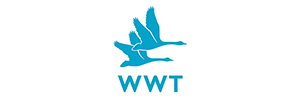 WWT Wildfowl and Wetlands Trust